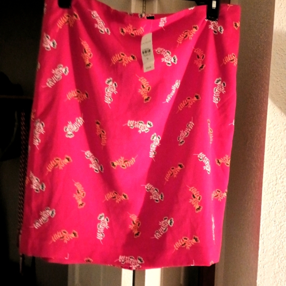 Ann Taylor Factory Pencil Skirt